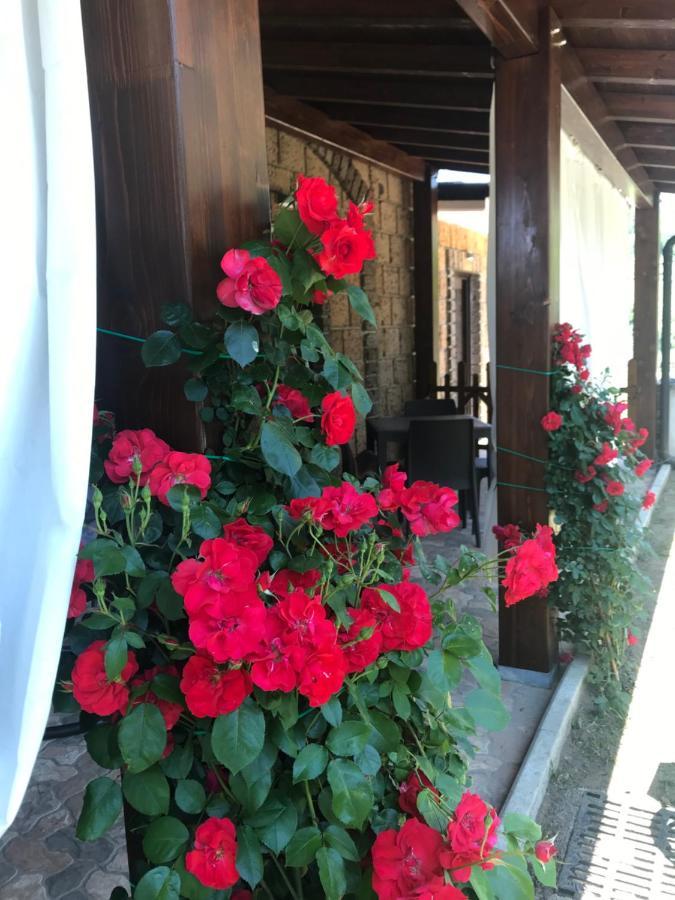 Agriturismo A Casa Di Susanna Santo Stefano del Sole Kültér fotó