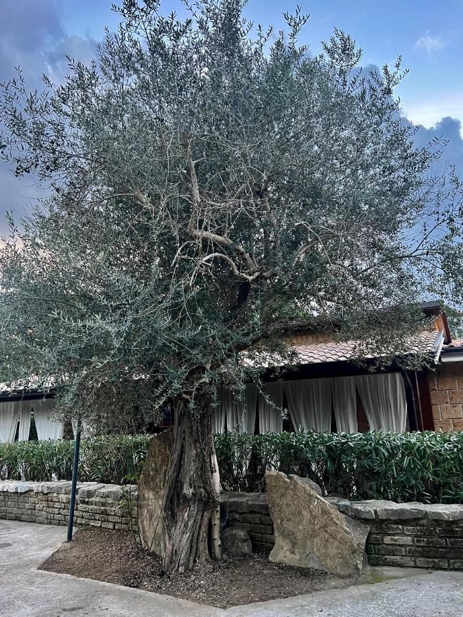 Agriturismo A Casa Di Susanna Santo Stefano del Sole Kültér fotó
