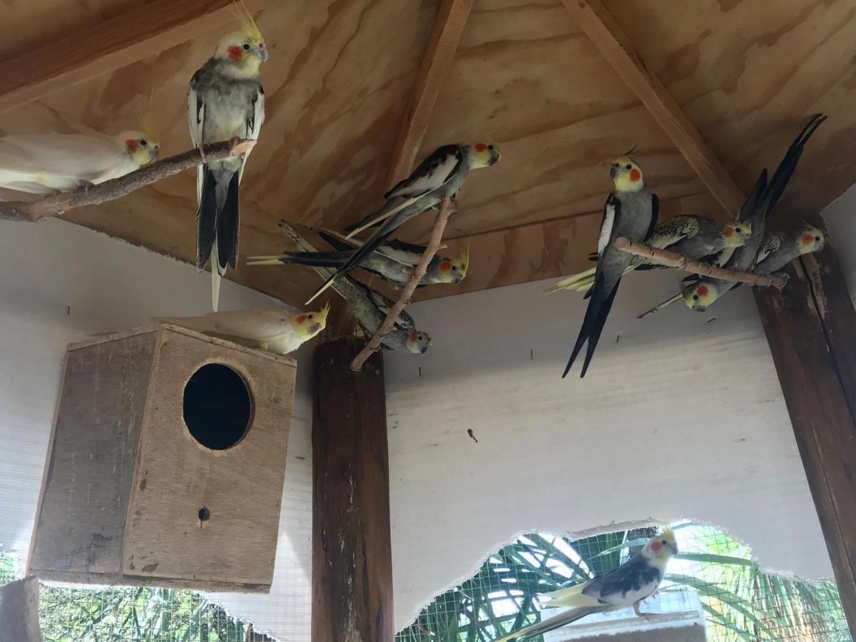Agriturismo A Casa Di Susanna Santo Stefano del Sole Kültér fotó