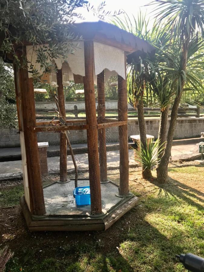 Agriturismo A Casa Di Susanna Santo Stefano del Sole Kültér fotó