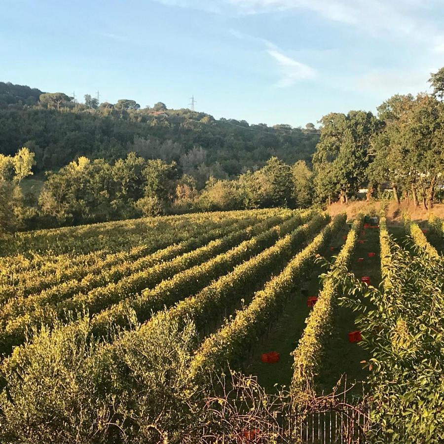 Agriturismo A Casa Di Susanna Santo Stefano del Sole Kültér fotó