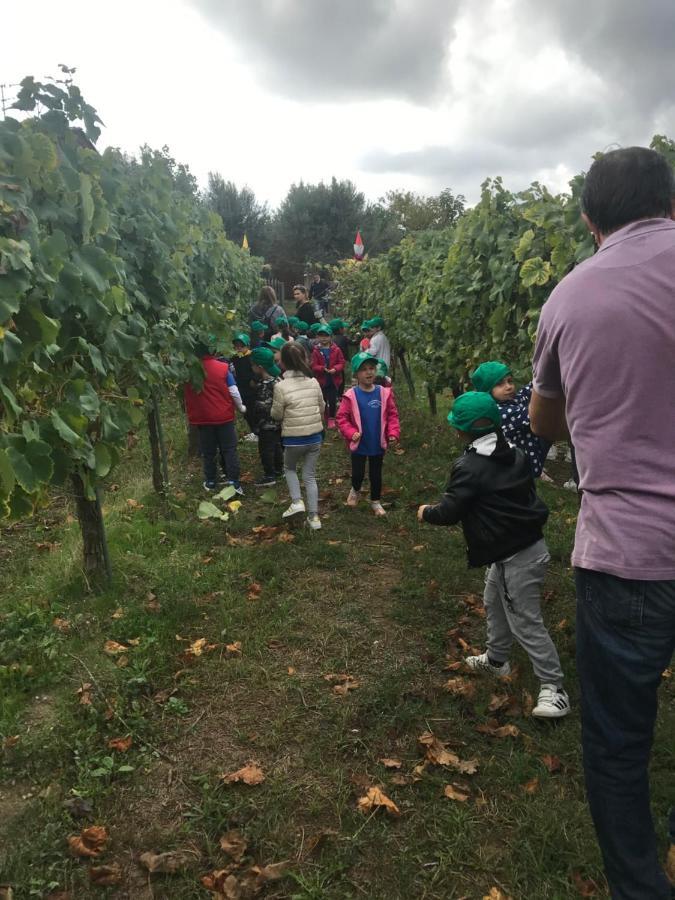 Agriturismo A Casa Di Susanna Santo Stefano del Sole Kültér fotó
