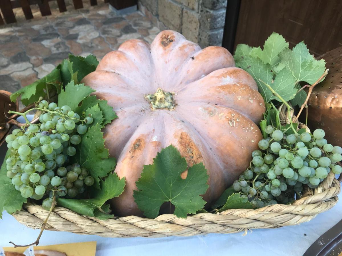Agriturismo A Casa Di Susanna Santo Stefano del Sole Kültér fotó